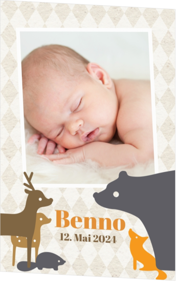  Geburtskarte Benno - Tiere