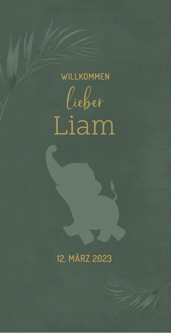 Geburtskarte Liam   Elefant im Dschungel Vorderseite