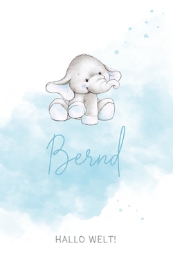 Geburtskarte Bernd   Kleiner Elefant Vorderseite